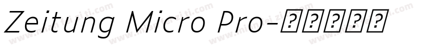 Zeitung Micro Pro字体转换